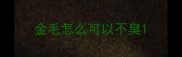 金毛怎么可以不臭