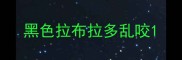 黑色拉布拉多乱咬