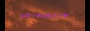 边牧小狗训练大小便