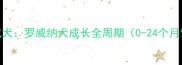 从幼犬到成犬罗威纳犬成长全周期0-24个月饲养指南