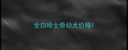 全白哈士奇幼犬价格