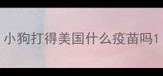 小狗打得美国什么疫苗吗