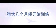 猎犬几个月能开始训练