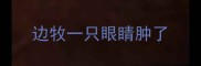 边牧一只眼睛肿了