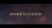 澳洲哪里可以买到宠物