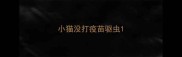 小猫没打疫苗驱虫