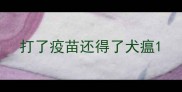 打了疫苗还得了犬瘟
