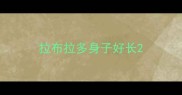 拉布拉多身子好长
