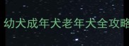 小狗绝食能撑几天幼犬成年犬老年犬全攻略附紧急处理指南