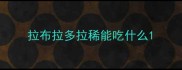 拉布拉多拉稀能吃什么