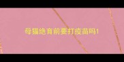 母猫绝育前要打疫苗吗
