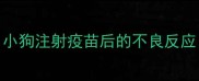 小狗注射疫苗后的不良反应