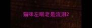 猫咪左眼老是流泪