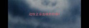 边牧正宗血统的价格