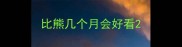 比熊几个月会好看