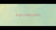 泰迪可以喝板蓝根吗