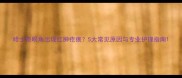 哈士奇眼角出现红肿疙瘩5大常见原因与专业护理指南