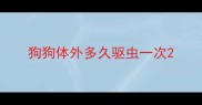 狗狗体外多久驱虫一次