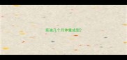 泰迪几个月体重成型