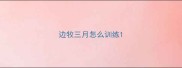 边牧三月怎么训练