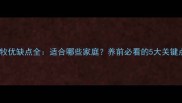 边牧优缺点全适合哪些家庭养前必看的5大关键点