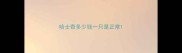 哈士奇多少钱一只是正常
