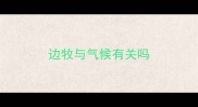 边牧与气候有关吗