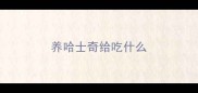 养哈士奇给吃什么