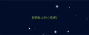 狗狗身上有小疙瘩
