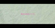 博美长到多少个月