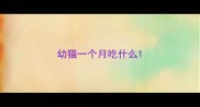 幼猫一个月吃什么