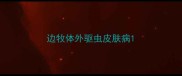 边牧体外驱虫皮肤病