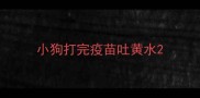 小狗打完疫苗吐黄水