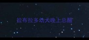 拉布拉多幼犬晚上总醒