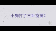 小狗打了三针疫苗