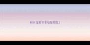 郴州宠物狗市场在哪里