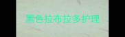黑色拉布拉多护理