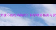 哈士奇幼犬能不能吃鸡胸肉科学喂养指南与营养搭配全