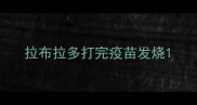 拉布拉多打完疫苗发烧