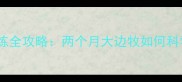 边境牧羊犬幼犬关键期训练全攻略两个月大边牧如何科学社会化与基础服从训练