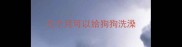 几个月可以给狗狗洗澡
