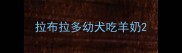拉布拉多幼犬吃羊奶