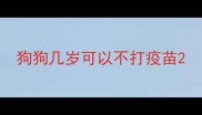 狗狗几岁可以不打疫苗