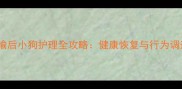 长途运输后小狗护理全攻略健康恢复与行为调适指南