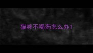 猫咪不喝药怎么办