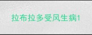 拉布拉多受风生病