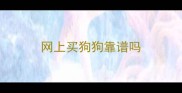 网上买狗狗靠谱吗
