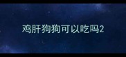 鸡肝狗狗可以吃吗
