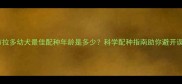 拉布拉多幼犬最佳配种年龄是多少科学配种指南助你避开误区