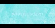 狗狗吃的三文鱼吗